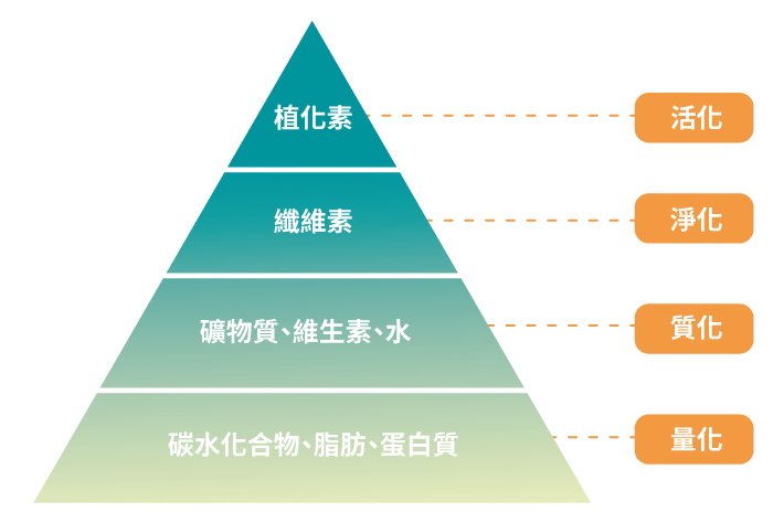 植化素與人體關係.png 植化素與人體關係.png