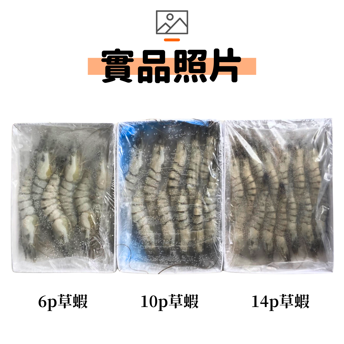 一堆實品圖 (14)