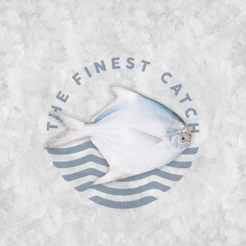 White pomfret.png