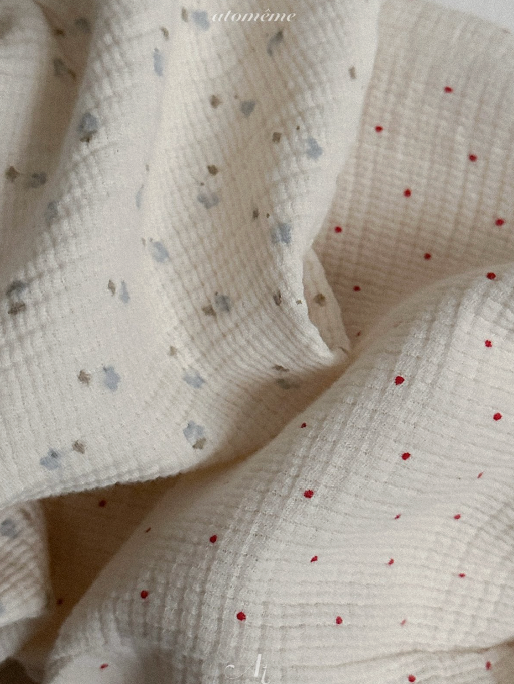 截圖 2026-03-03 晚上10.09.22