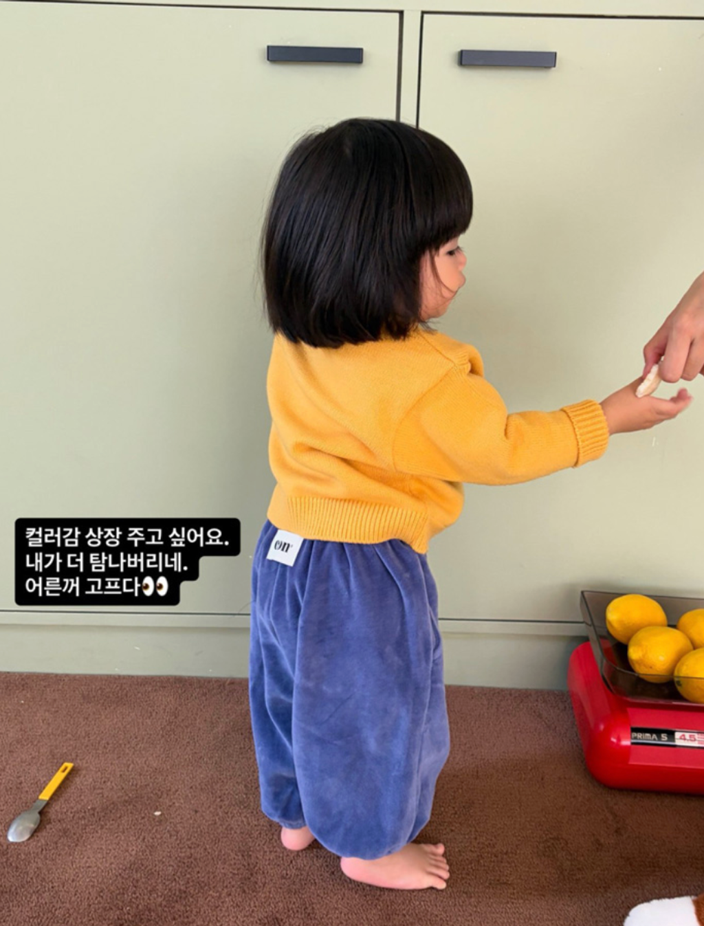 截圖 2026-08-06 晚上11.01.00