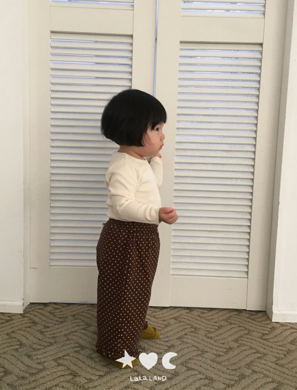 截圖 2026-10-05 晚上9.09.30
