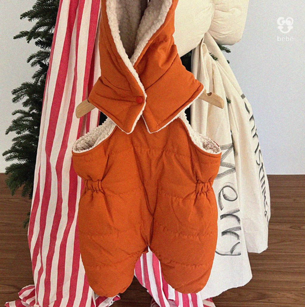 截圖 2025-11-13 凌晨12.01.22