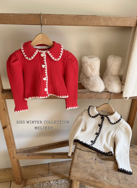 截圖 2025-11-18 晚上11.41.46