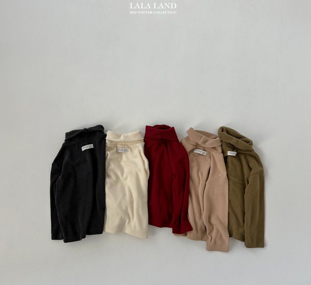 截圖 2025-11-20 晚上9.24.49