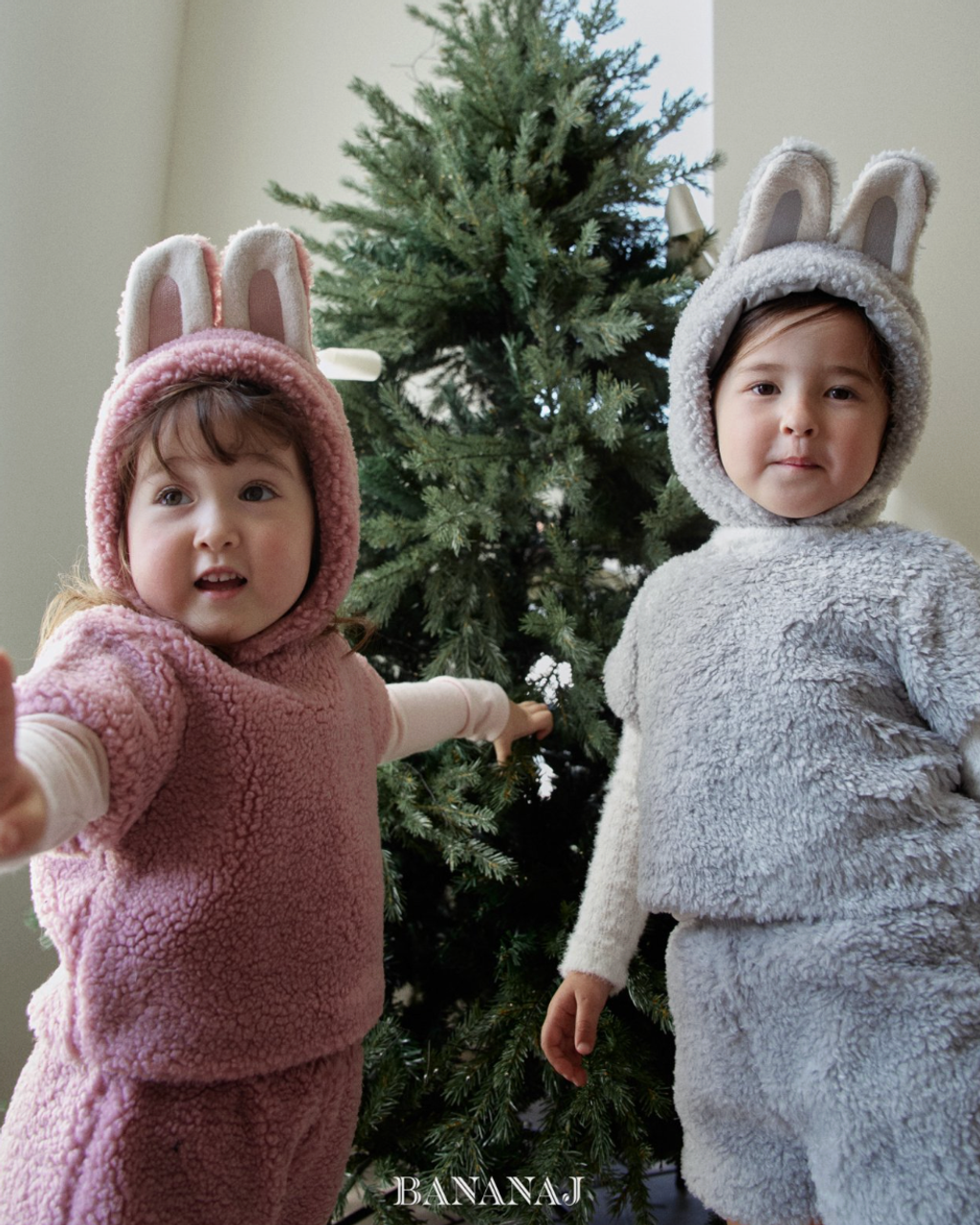 截圖 2025-11-23 凌晨12.42.01