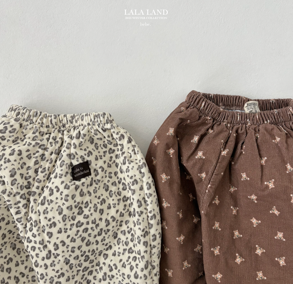 截圖 2025-11-24 晚上11.55.41