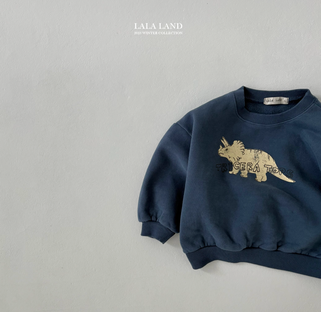 截圖 2025-11-25 晚上7.35.58