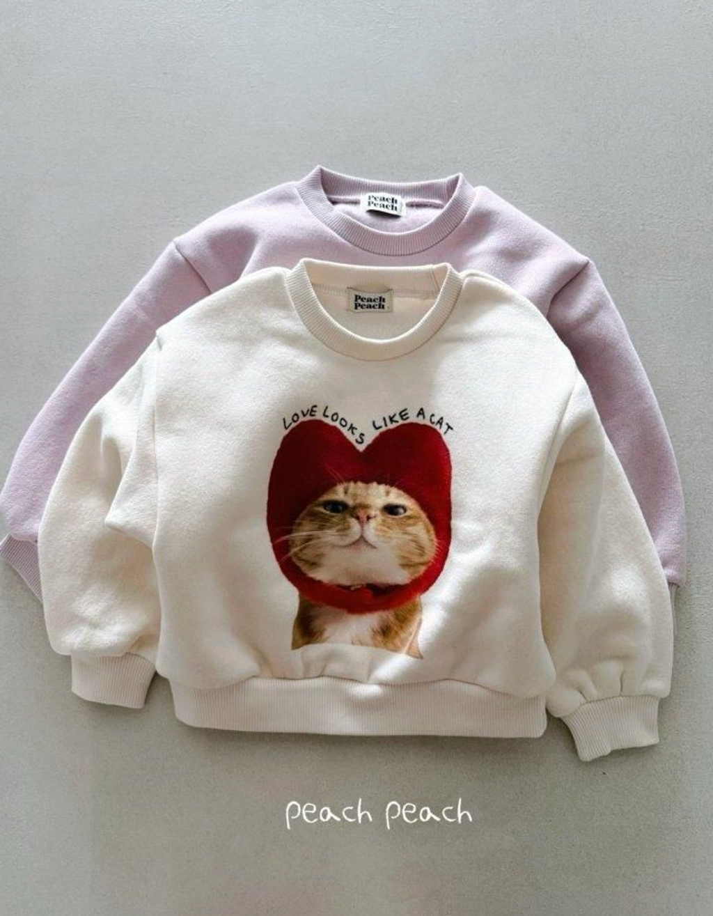 截圖 2025-12-22 下午3.16.17