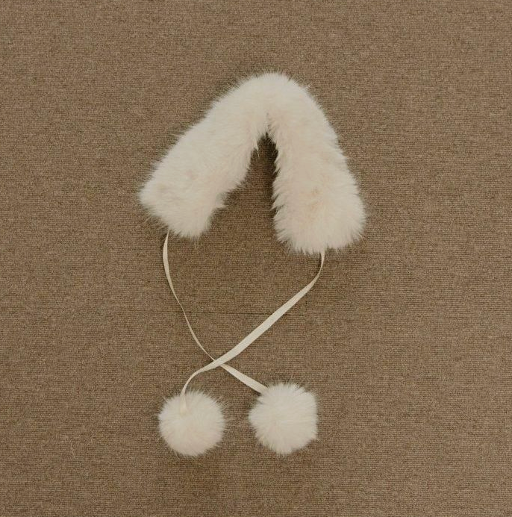 截圖 2025-12-24 凌晨12.00.31