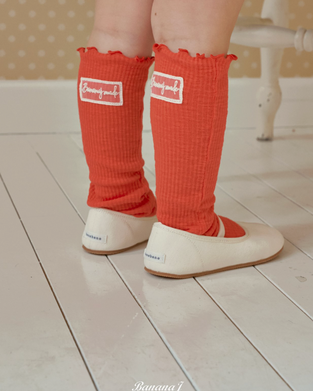 截圖 2026-01-26 晚上10.55.25