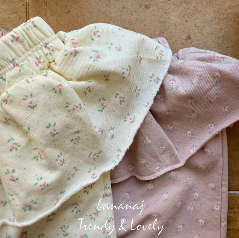 截圖 2026-01-26 晚上11.25.58