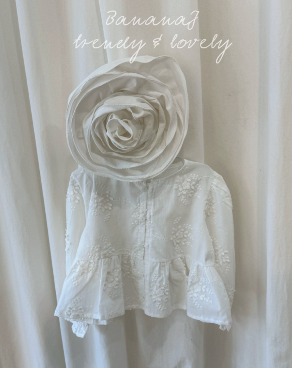 截圖 2026-01-26 晚上11.45.40