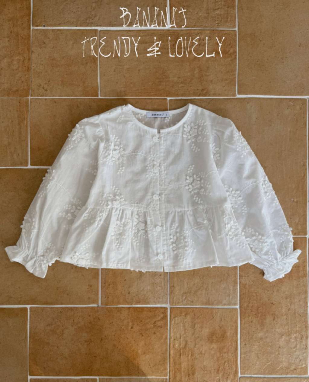 截圖 2026-01-26 晚上11.46.13