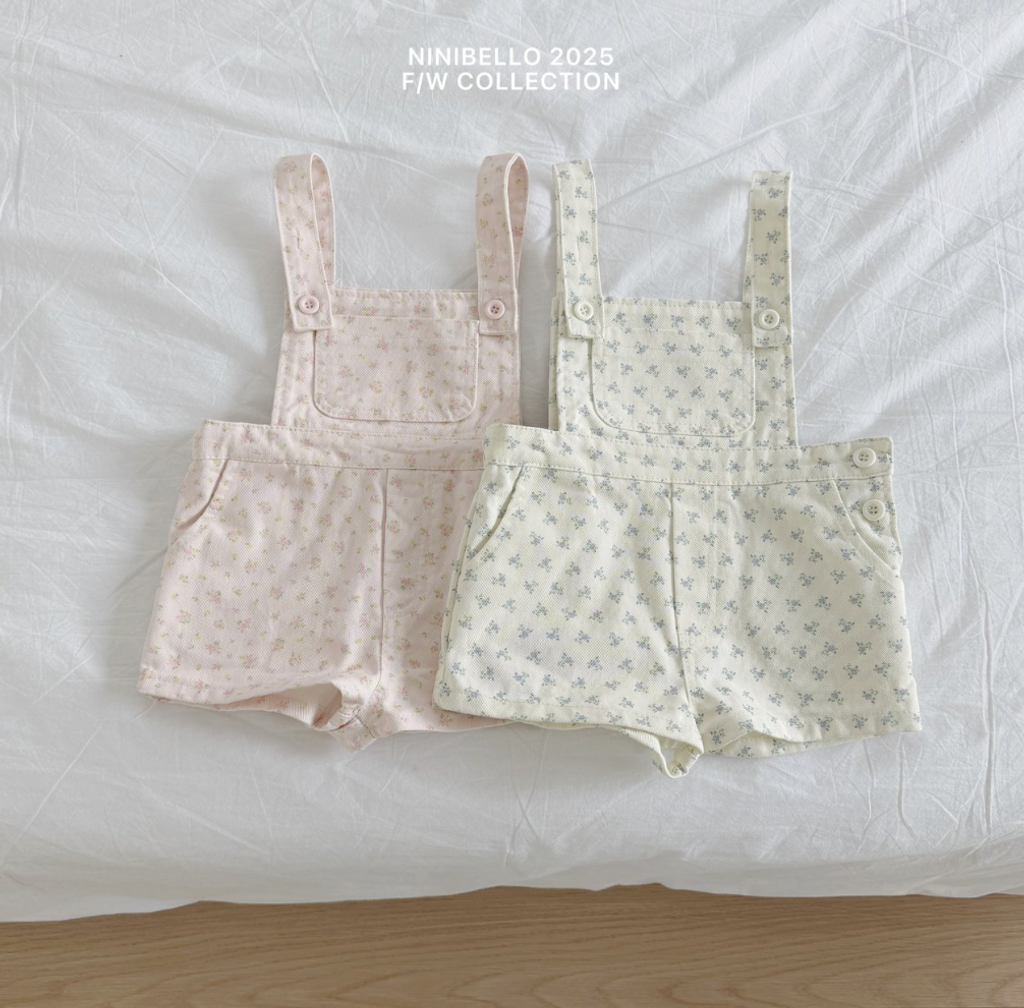 截圖 2026-01-31 上午11.49.15