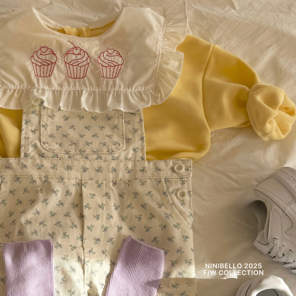 截圖 2026-01-31 上午11.49.43