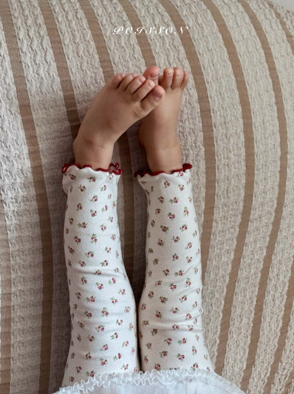 截圖 2026-02-03 凌晨12.28.36