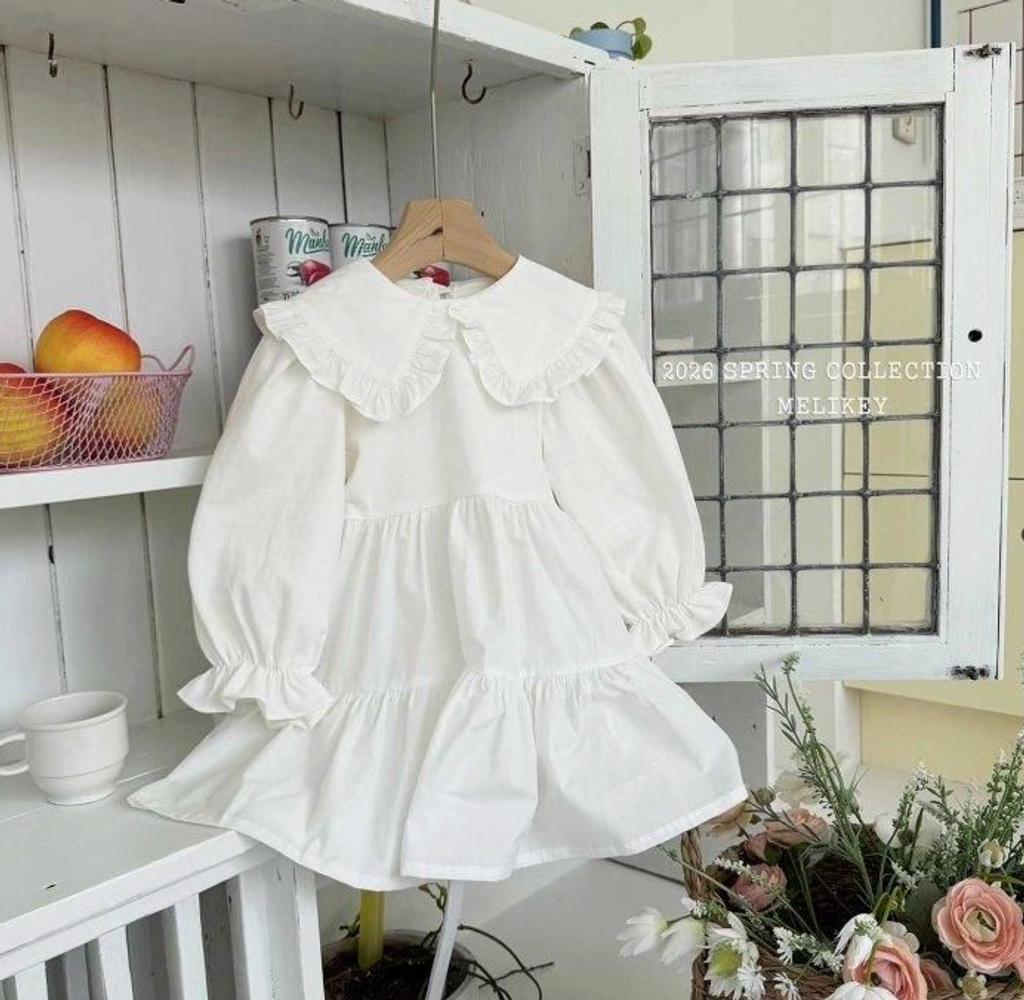 截圖 2026-02-11 晚上10.41.48