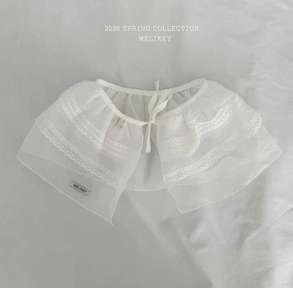 截圖 2026-02-12 晚上10.13.44