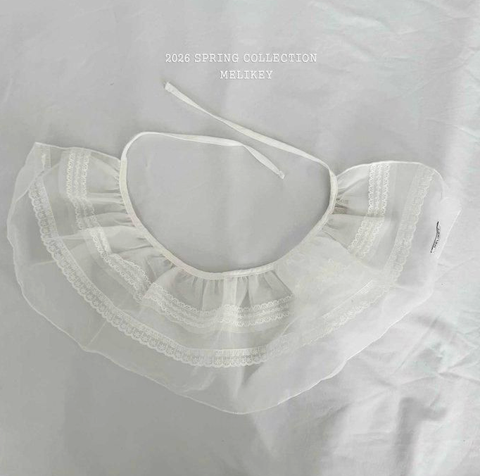 截圖 2026-02-12 晚上10.13.49