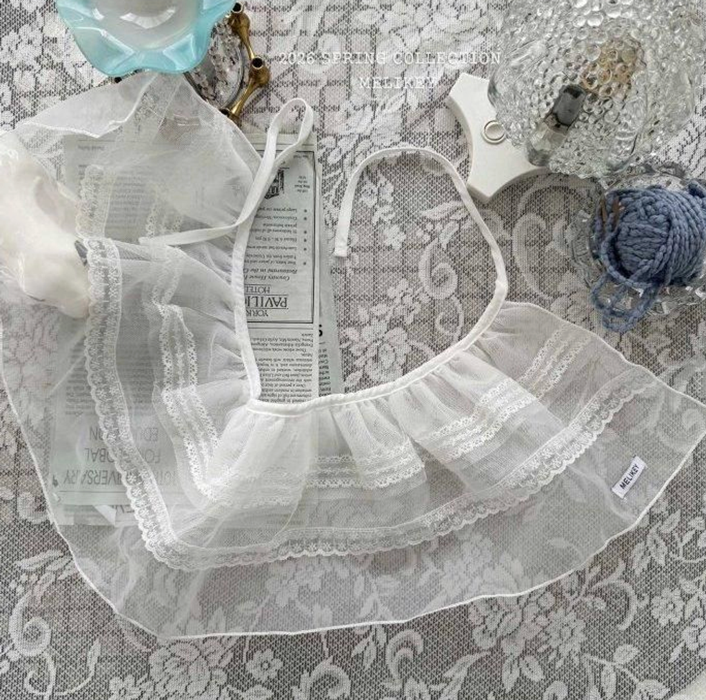 截圖 2026-02-12 晚上10.13.53