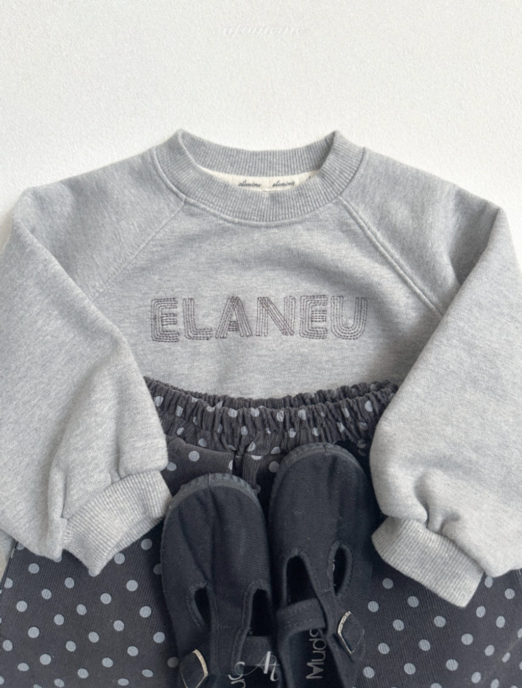 截圖 2026-03-02 凌晨12.30.44