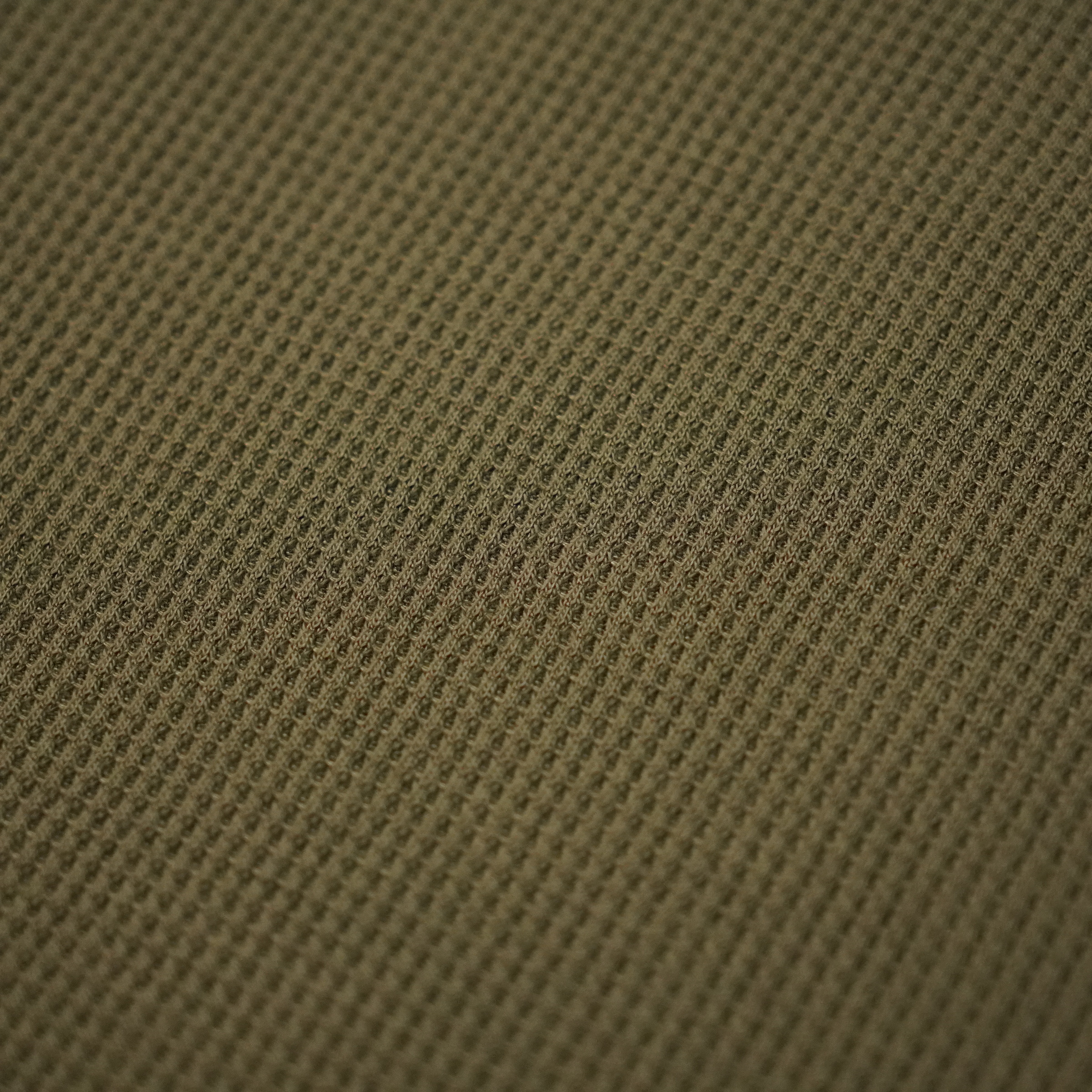 image_B8190A9E-9BF6-4042-BABC-10CB19046C0F_1762499139