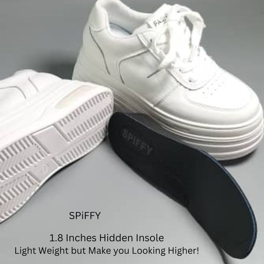 WL 9161 (3)