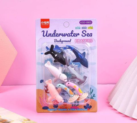 Image_20240528154255