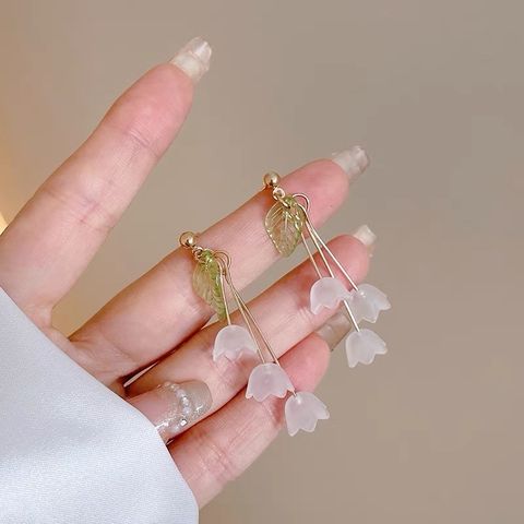 IMG_0110-1717857569435