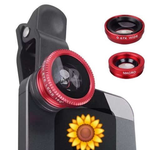 photo_2024-08-29_15-18-24