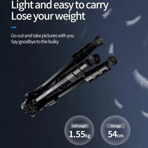 photo_2024-09-20_17-28-52