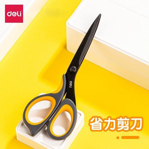 IMG_9399-1728312505138