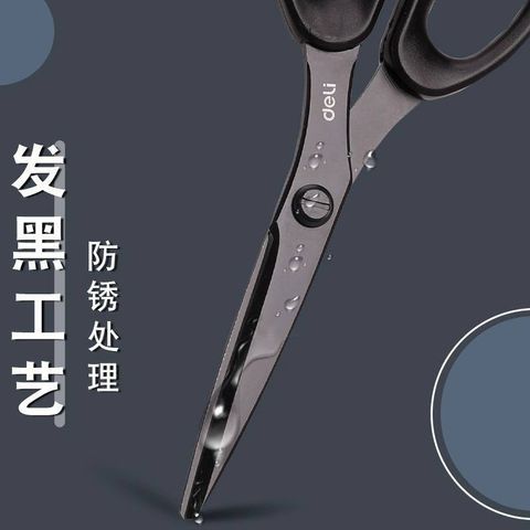 IMG_9682-1728393841702