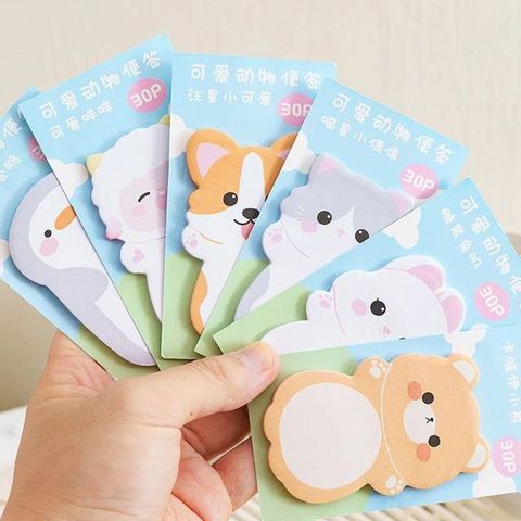 photo_6073458256673619768_x