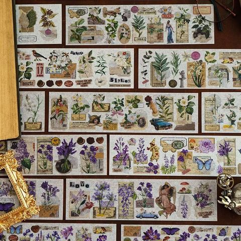 photo_6077923137170816864_x