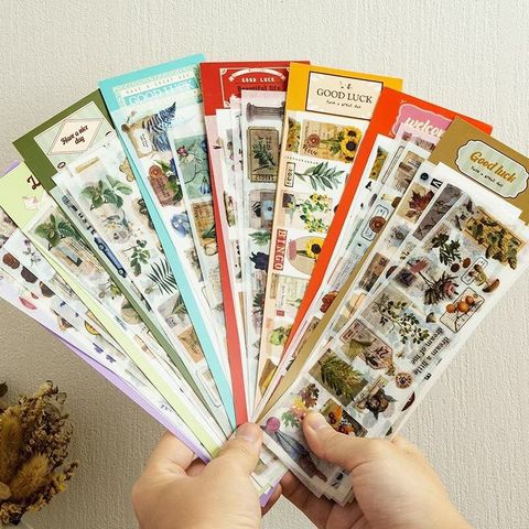 photo_6077923137170816869_x