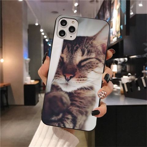 photo_6329824141607289430_x