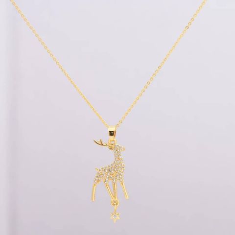 WhatsApp Image 2025-02-26 at 17.19.49_e6532e50