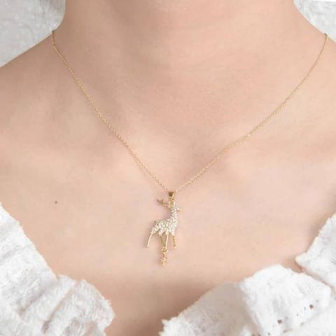 WhatsApp Image 2025-02-26 at 17.19.49_718e1e4f