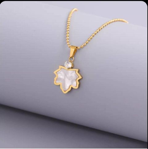 WhatsApp Image 2025-03-03 at 16.13.40_6b7537f3