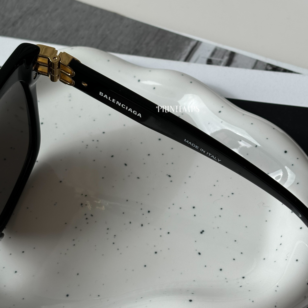 巴黎世家大框墨鏡BB0102SA(5)_0