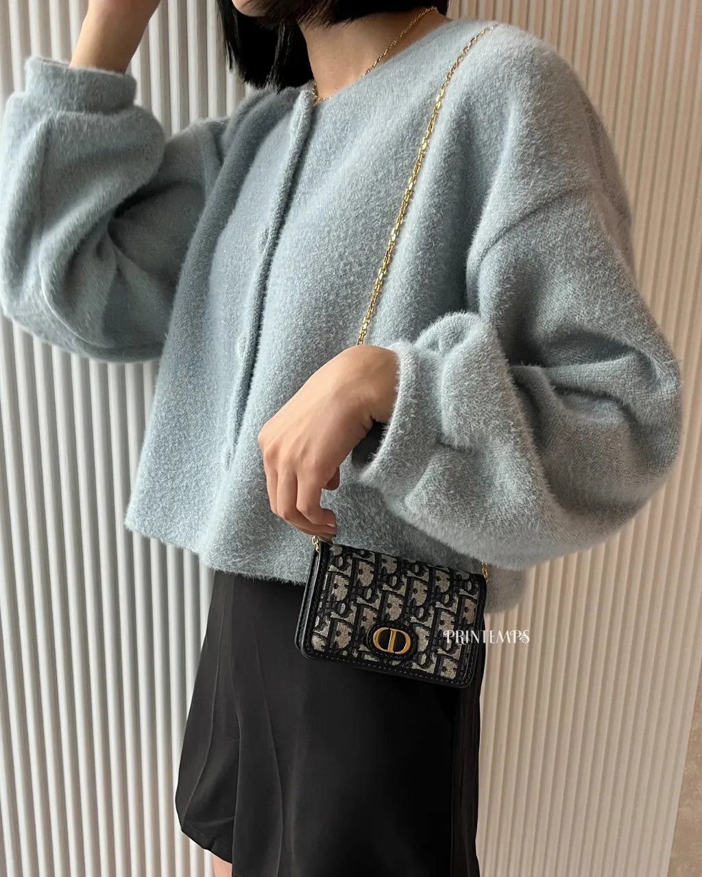 DIOR蒙田小鍊包 (3)