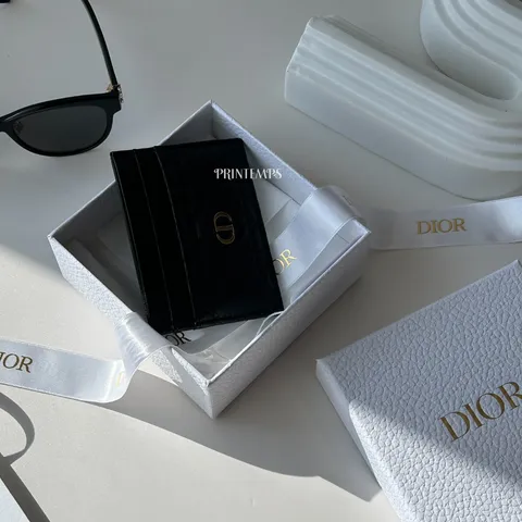 DIORcaro卡夾 (3)