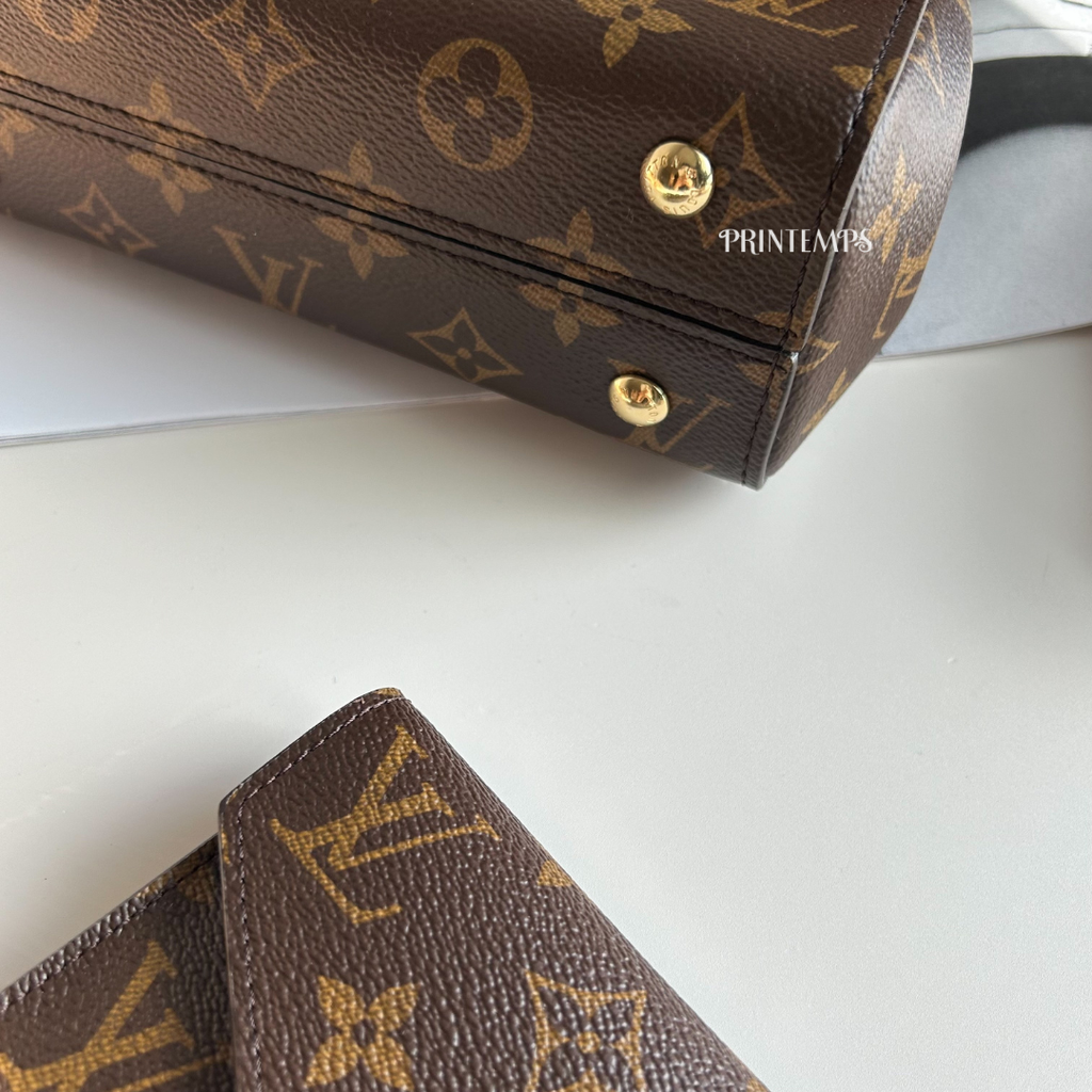 LV Cluny Mini 奶茶背帶 (5)