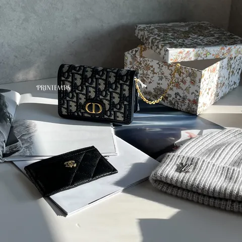 DIOR 蒙田NANO小鍊包 (8)