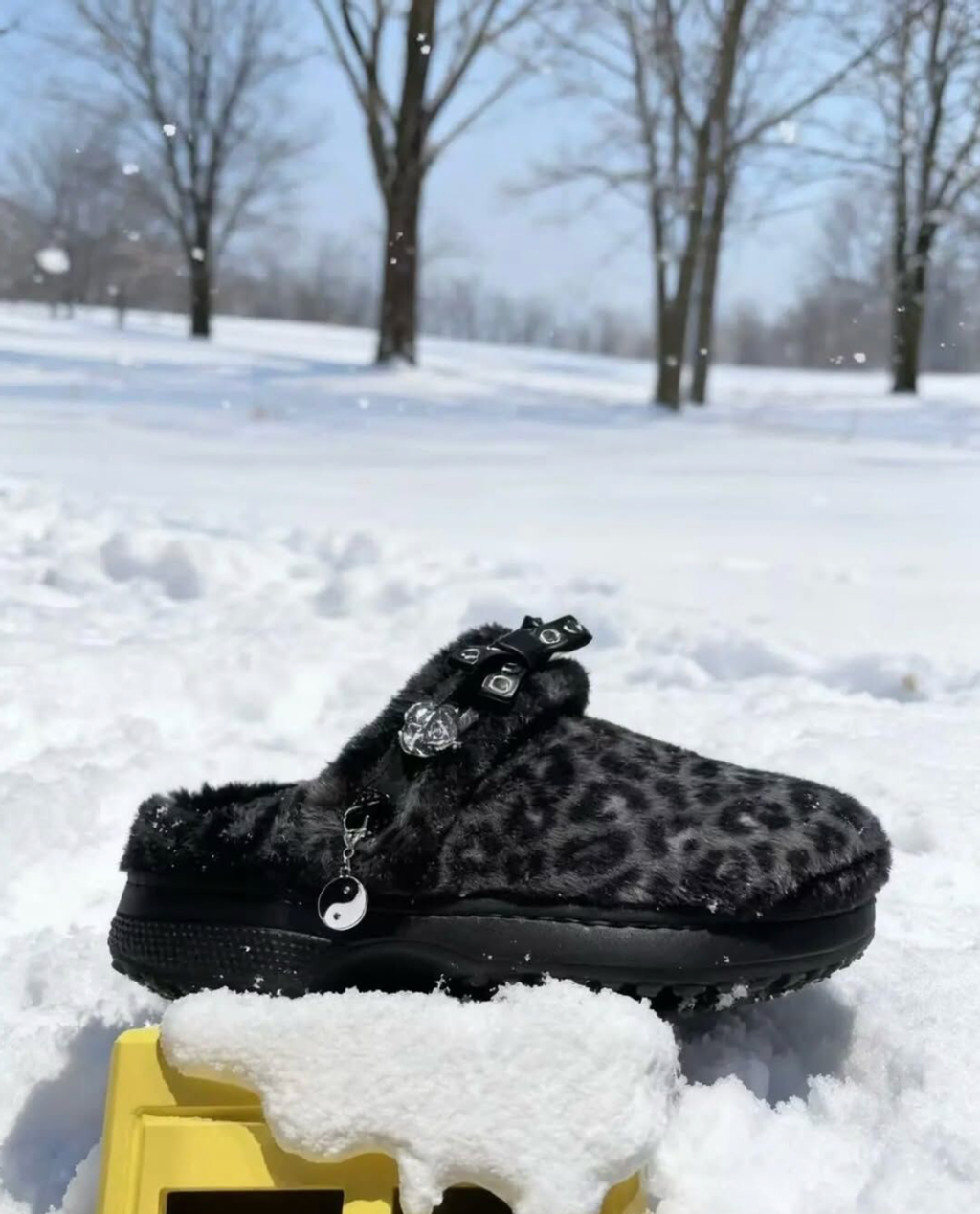 截圖 2026-01-07 下午3.19.25_0