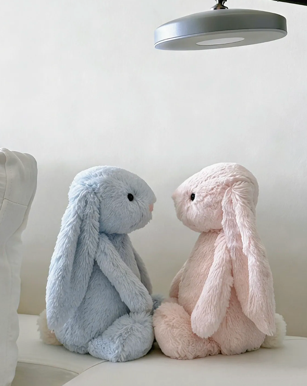 截圖 2026-01-28 中午12.55.29_0