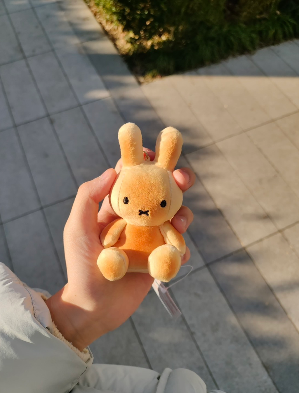 截圖 2026-02-02 下午2.14.33_0