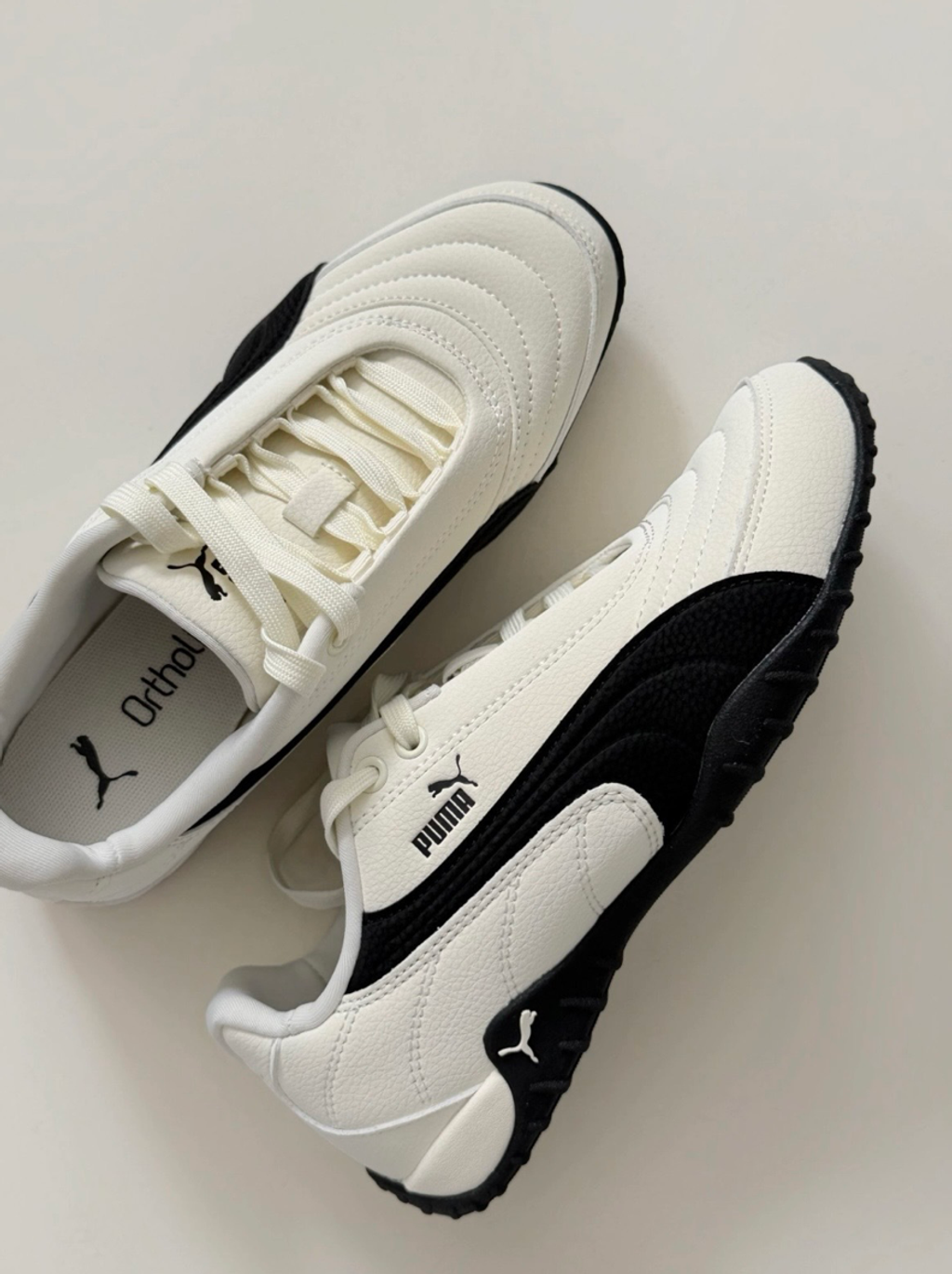 截圖 2026-02-10 下午3.52.59_0